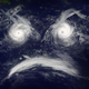 Illustration for article titled No, Female Hurricanes Are Not Deadlier Than Male Hurricanes